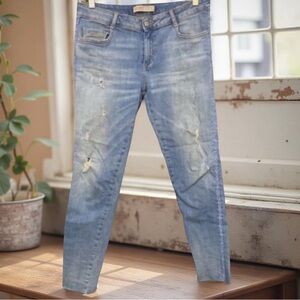 Zara Pearl Embellished Stretchy Distressed Capri Jeans